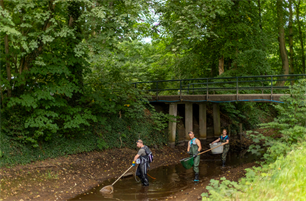 Vissen gered in de Baakse Beek en Boven Slinge 